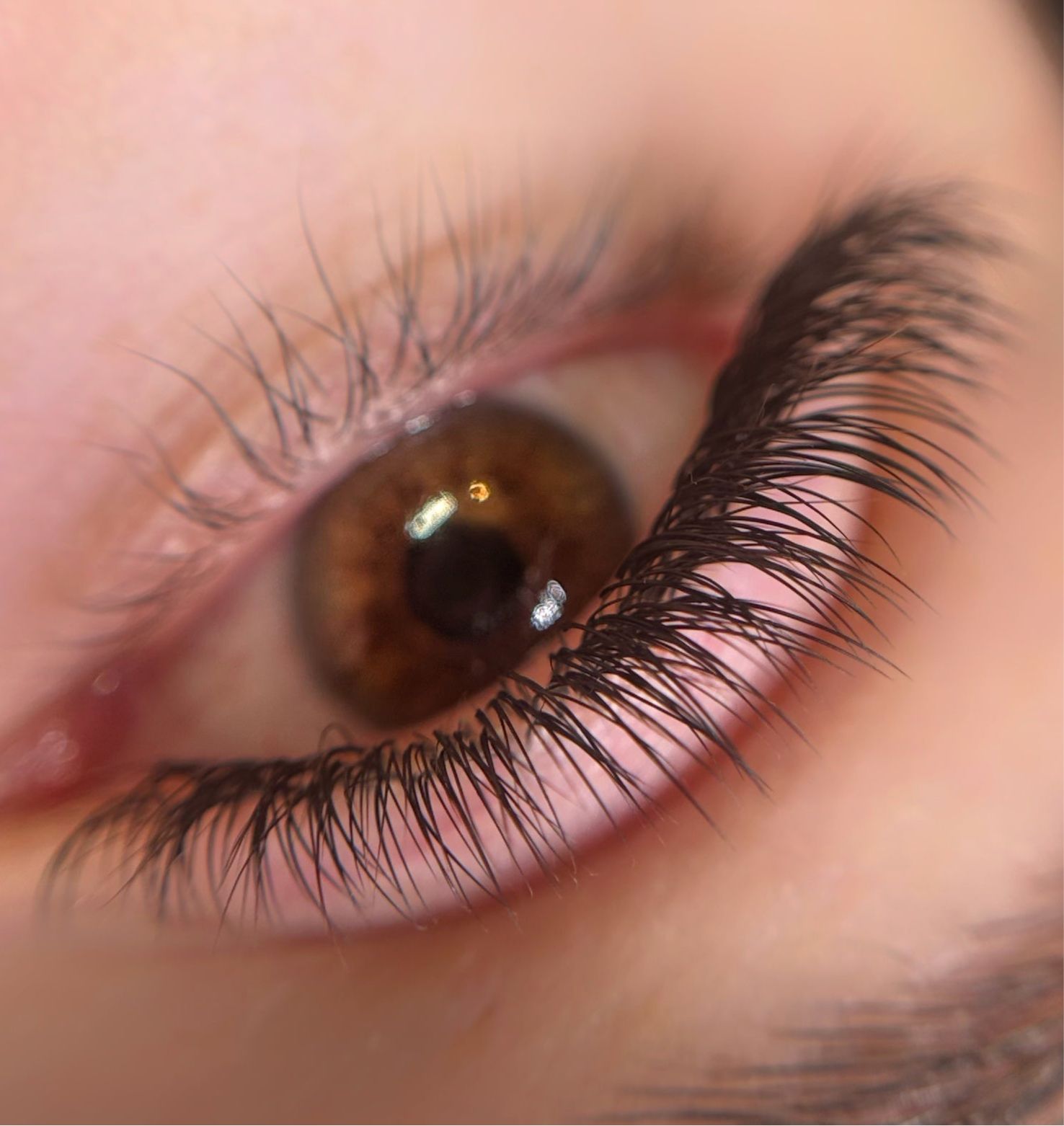 Formation Cil à cil + initiation volume russe - 4 jours