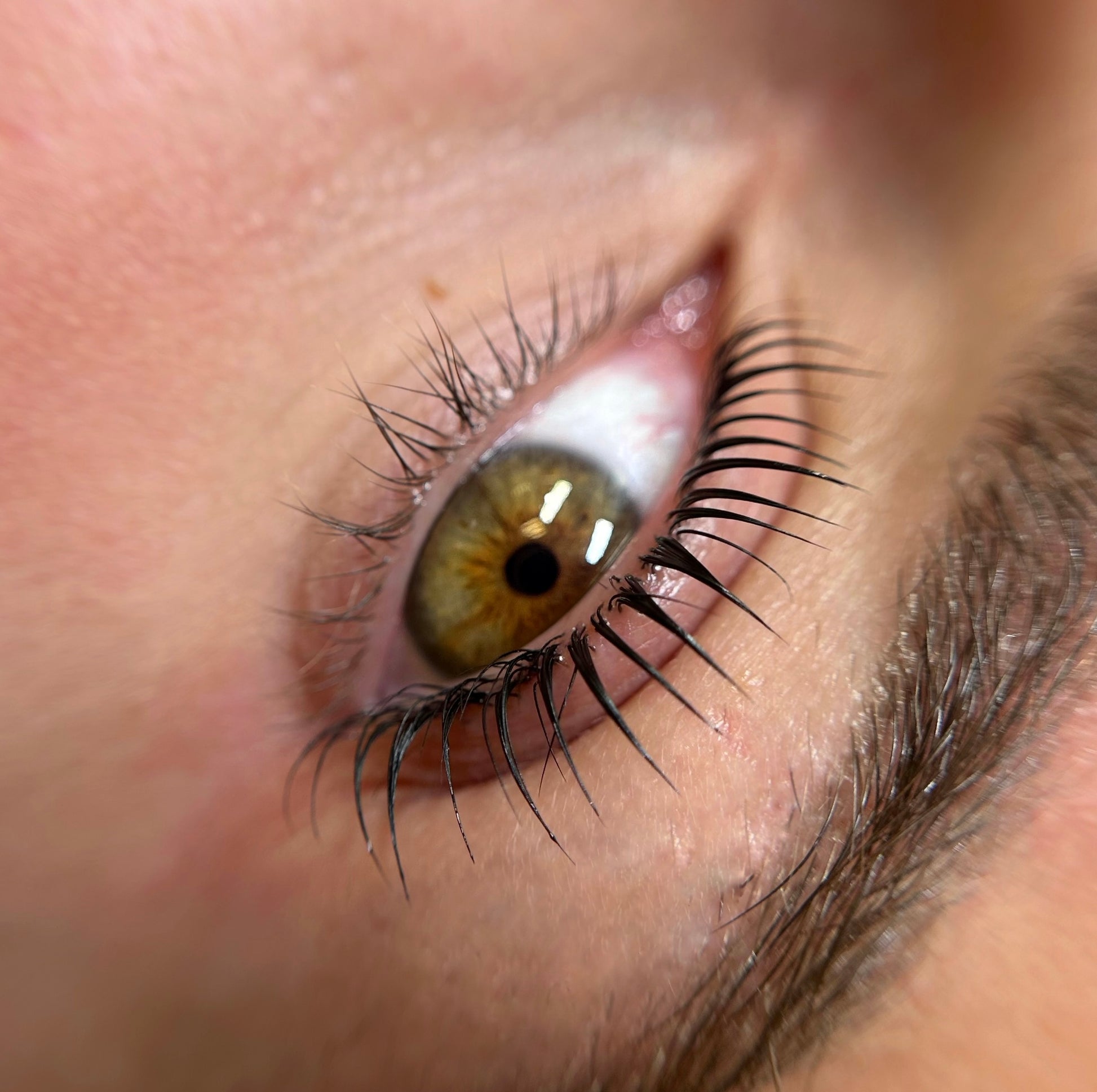 Formation Korean Lash lift niveau confirmé - 2 jours