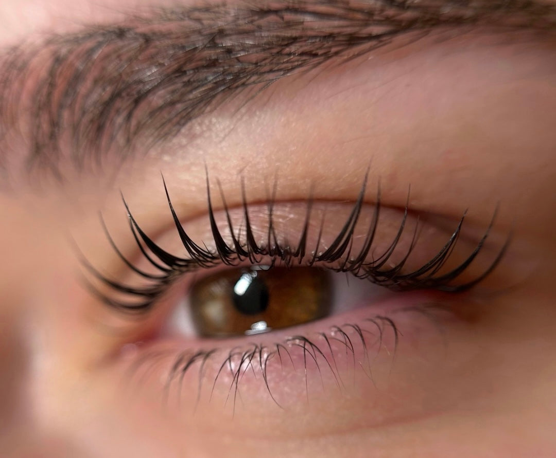 Formation Lash lift + Korean Lash lift débutant - 3 jours